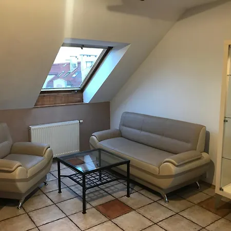 Airport Lounge Apartment *